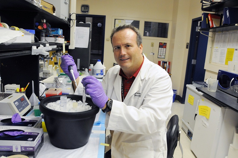 A $165,000 grant from the American Heart Association will allow Dr. Rennolds Ostrom and his research team to understand basic biochemical and cell biological processes that govern how cells respond to hormones in the blood and signals from the brain. 