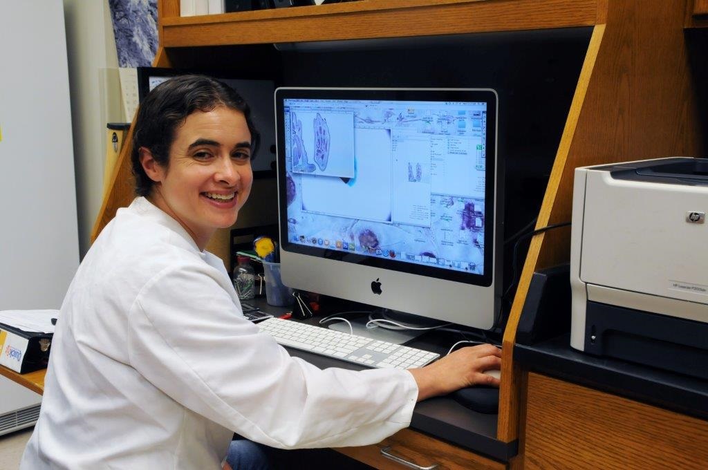 A $1.6 million grant will allow Dr. Susan Miranda to continue her research focusing on the genes regulated by estrogens in osteoblasts and osteoclasts.