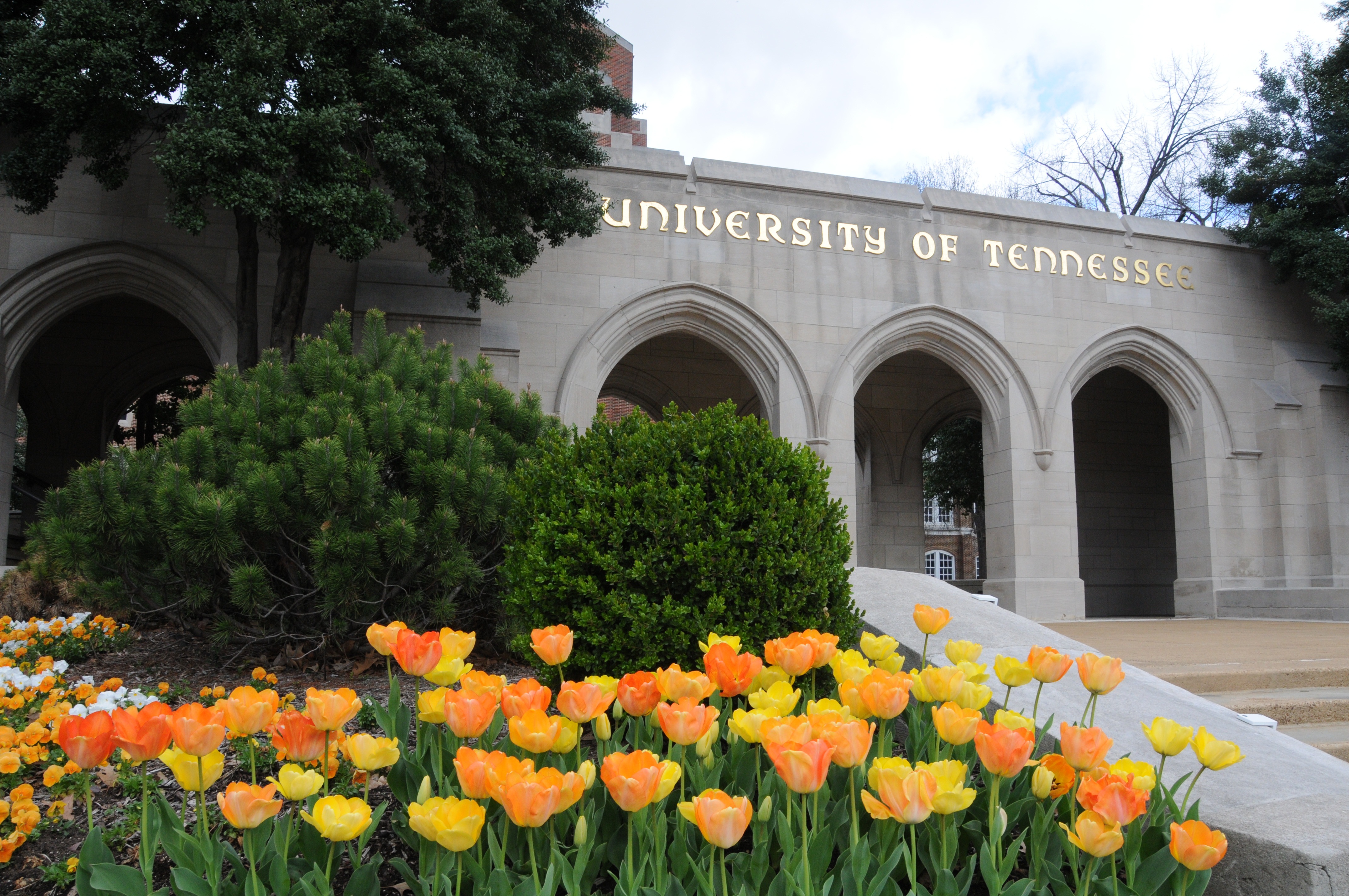 UTHSC arches day