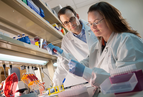 Assistant member in Pathology at St. Jude Children’s Research Hospital, Jeffery Klco, M.D., Ph.D., works with research lab specialist Tami Lamprecht at the bench. Klco and his team are investigating how disrupting signals in the bone marrow can influence blood stem cells, which give rise to all the other blood cells of an animal. Photo by Seth Dixon, St. Jude Children’s Research Hospital.