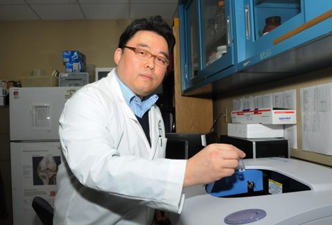 A $130,808 grant award from the William and Ella Owens Medical Research Foundation will allow Dr. Hongsik Cho and his research team to develop a drug delivery system using very small packets, called nanosomes, that enclose a drug and a fluorescent dye to repair damaged cartilage.