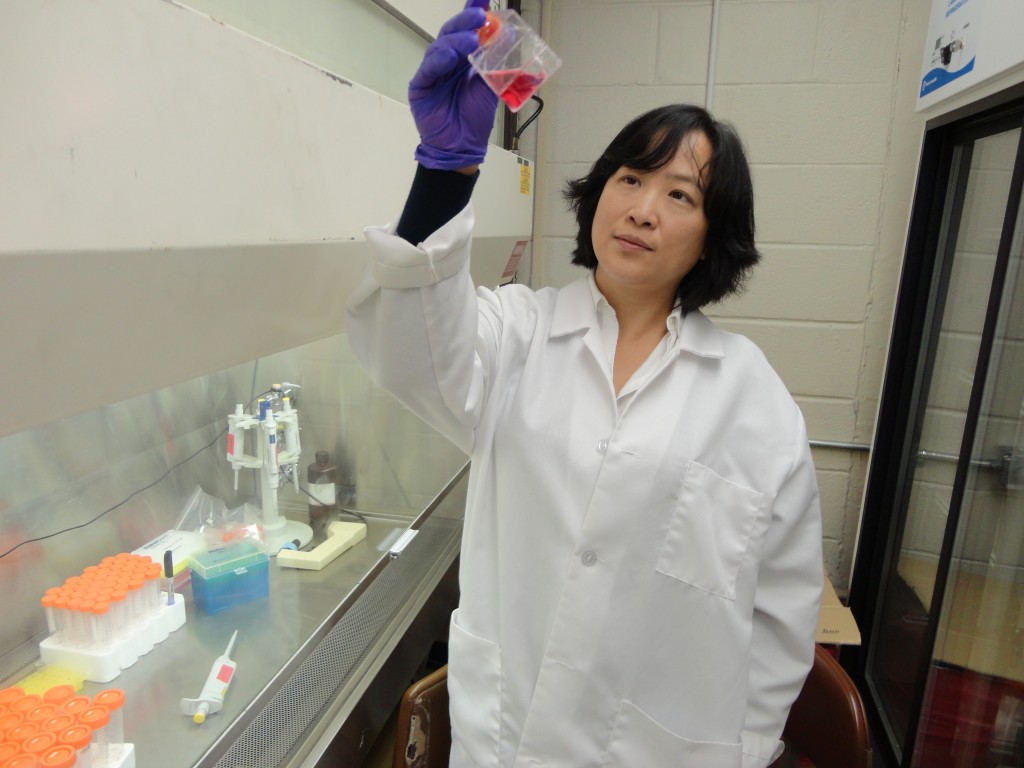 With the help of a $1.4 million grant from the National Institute on Aging, Dr. Francesca-Fang Liao and her research team will be able to investigate HSF1, a universal master switch in the brain for stress response, which could be significant to brain function and Alzheimer’s disease.  